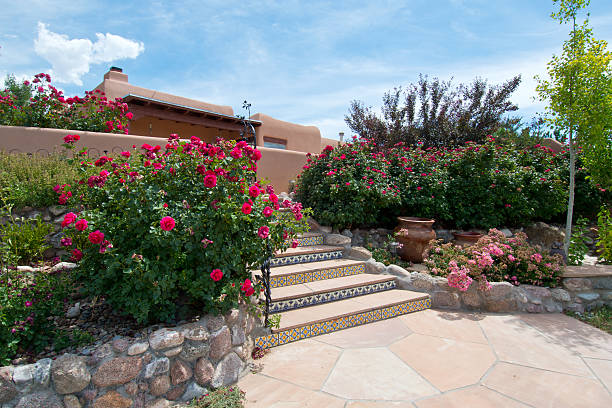 bellissimo lussureggiante cortile sul retro rose garden - house residential structure southwest usa albuquerque foto e immagini stock