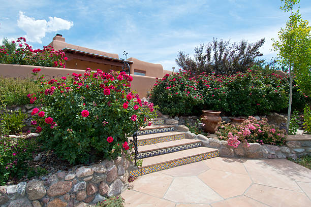 istock Beautiful Lush Back Yard Rose Garden 547442394