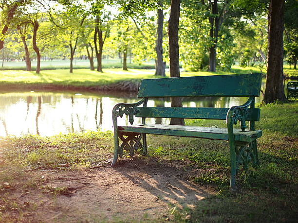 istock bench in the park next to the pond 547442460