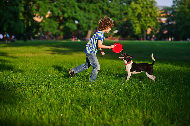 Blonde boy playing with his black and white dog on the lawn in the park. Boy is holding a frisbee. His pet attentively looks at the owner. The doggy has raised a tail up. She likes game.