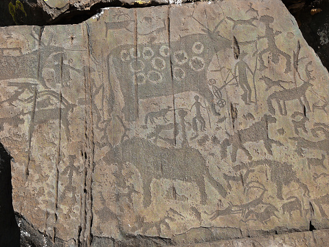 People and animals petroglyphs. Prehistorical petroglyphs carved in rocks. Siberian Altai Mountains, Russia