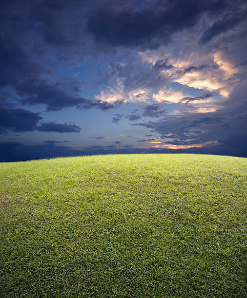 istock Green grass field with sunset sky, nature background 547447486