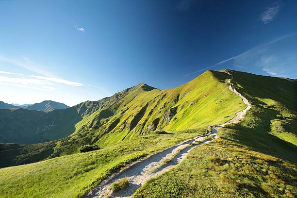 istock Tatra Mountains on the Slovak-Polish border 547447888