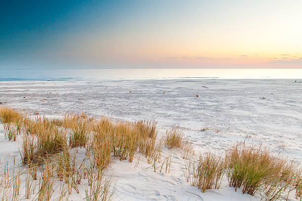 istock beautiful view of the coastal dunes 547493804