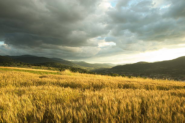 Sunset in mountains before the storm Sunset in mountains before the storm autumn field tree mountain stock pictures, royalty-free photos & images