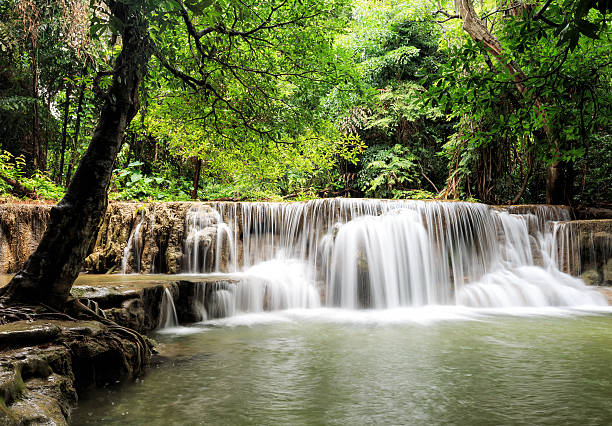водопад в дождевом лесу водопад, провинция канчанабури, таиланд - kanchanaburi province beauty in nature falling flowing стоковые фото и изображения