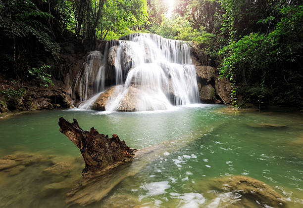 водопад в дождевом лесу водопад, провинция канчанабури, таиланд - kanchanaburi province beauty in nature falling flowing стоковые фото и изображения