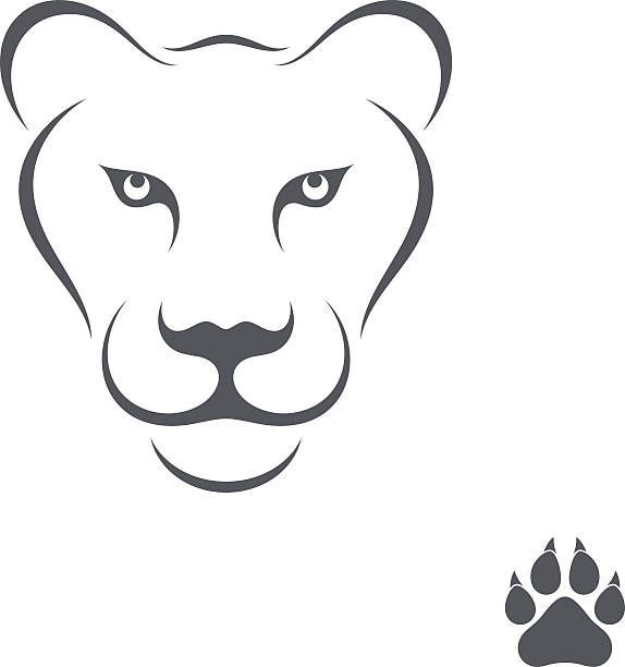 löwin  - lioness stock-grafiken, -clipart, -cartoons und -symbole