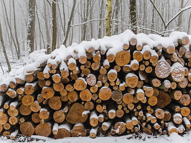 istock Snow in the forest that surrounds Heidelberg 547497498