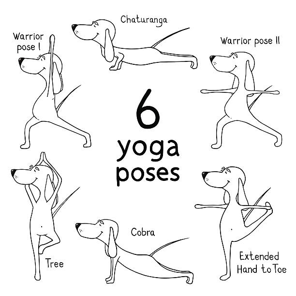ilustrações de stock, clip art, desenhos animados e ícones de cartoon dogs show 6 yoga poses. vector - yoga posture dog cobra