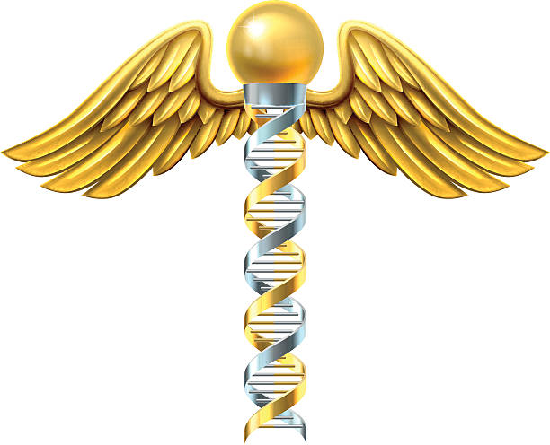 ilustrações de stock, clip art, desenhos animados e ícones de dna caduceus concept - dna helix helix model symmetry