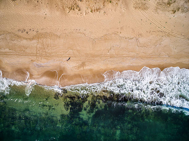High angle view of man standing on the beach