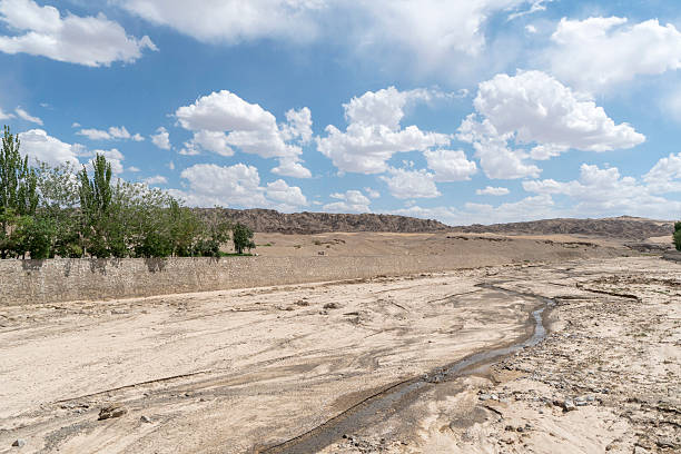 dry riverbed dry riverbed dry riverbed stock pictures, royalty-free photos & images
