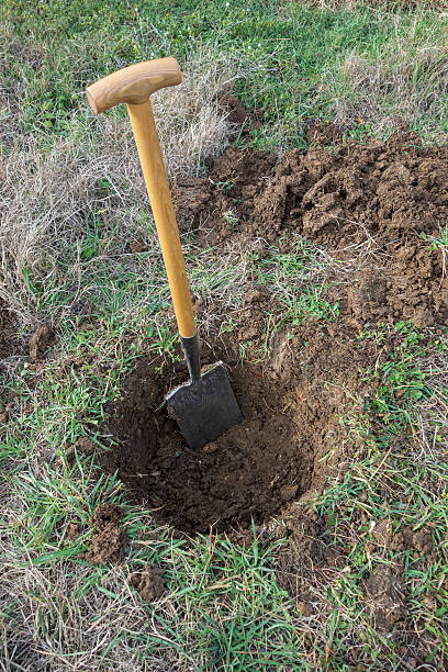 istock Digging a hole on lawn for plant 547500958