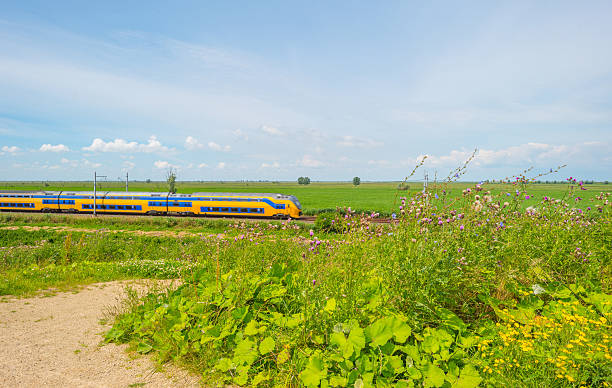 istock Train riding through nature in summer 547502694