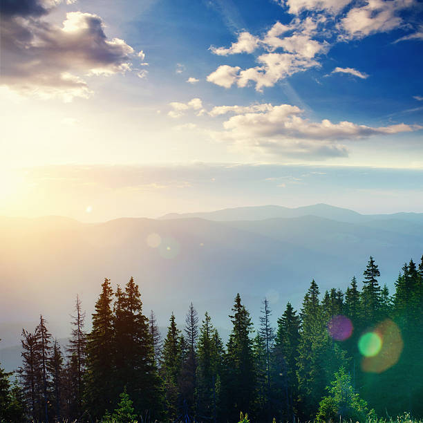 istock Fantastic foggy day and bright hills by sunlight. 547504690