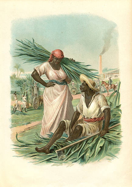 Couple of cuban slaves harvesting sugar cane 1880 Steel engraving Couple of cuban slaves harvesting sugar cane  cuba illustrations stock illustrations