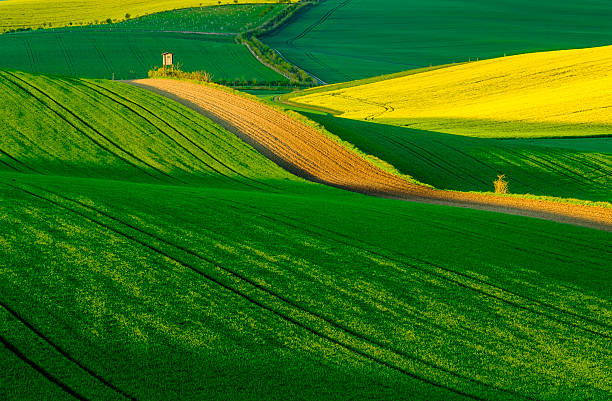 istock Wavy meadows spring landscape in South Moravia 547510486