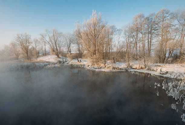 istock Lake in the winter forest 547511176