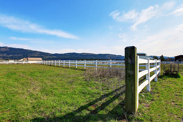 istock Spacious backyard garden with green lawn and white fence. 547512510
