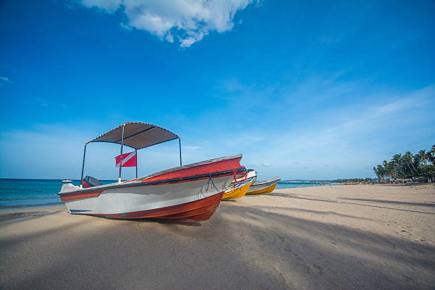 istock Colorful boat at Trincomalee beach in Sri Lanka 547514502