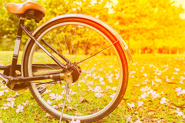 istock Vintage bicycle and flowers for summer landscape background, 547517984