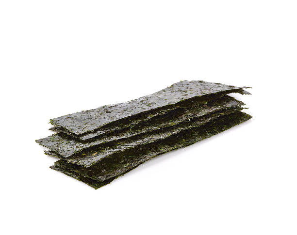 istock seaweed. dry seaweed on the background 547518170