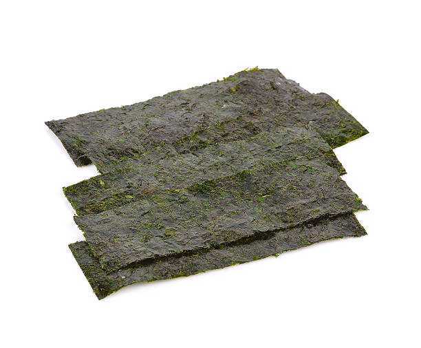 istock seaweed. dry seaweed on the background 547518438