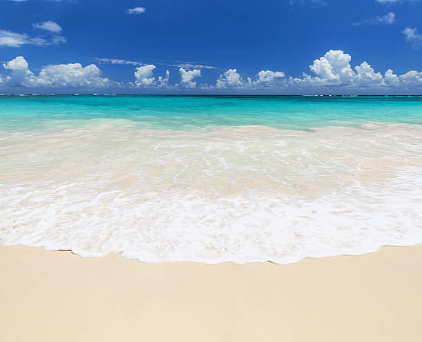 istock Wave of the sea on the sand beach 547519474