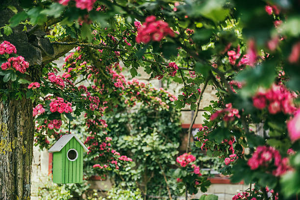 birdshouse - birdhouse bird house ornamental garden fotografías e imágenes de stock