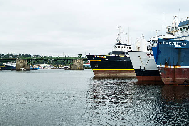 Commercial fishing boats and Ballard Bridge Seattle, WA, USA July 06, 2016: The bow of three large commercial fishing boats with the Ballard Bridge in background ballard-seattle stock pictures, royalty-free photos & images