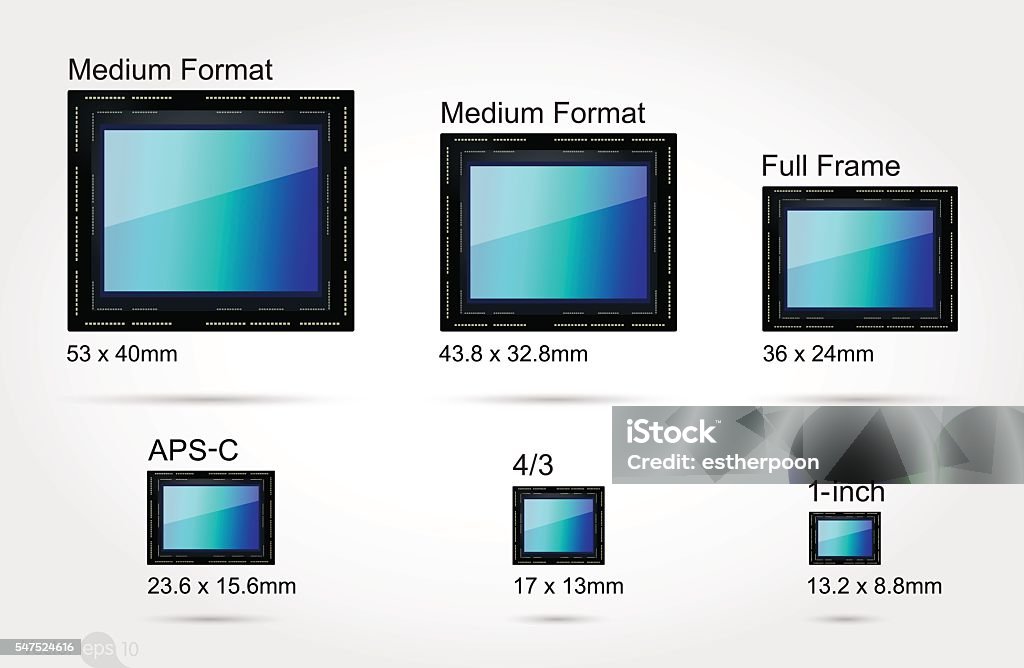 Camera Format Sizes Digital Camera Sensor Format Stock Illustration - Download Image Now ...