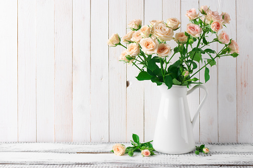 Light pink roses bouquet in jug against white rustic wooden wall.