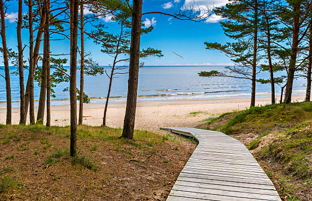 istock Coastal landscape at the Baltic Sea, Latvia 547527110