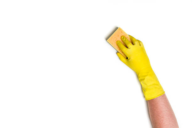 istock Hand cleaning against a white background 547527466