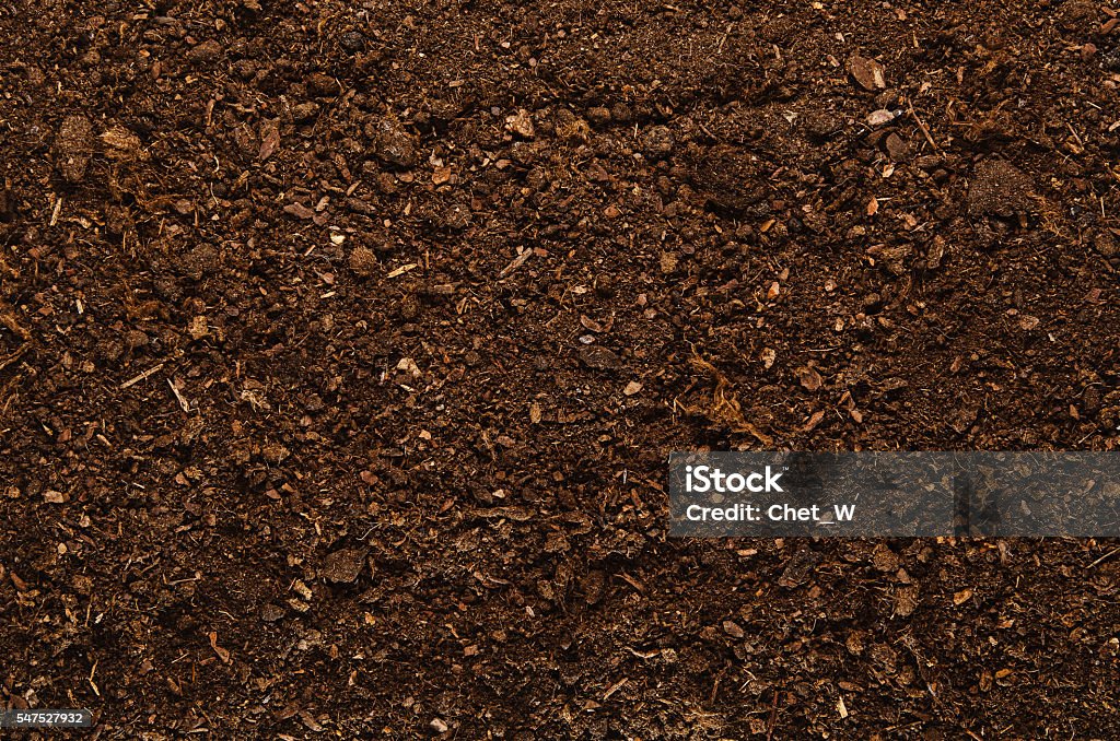 Soil texture background seen from above, top view. Dirt Stock Photo