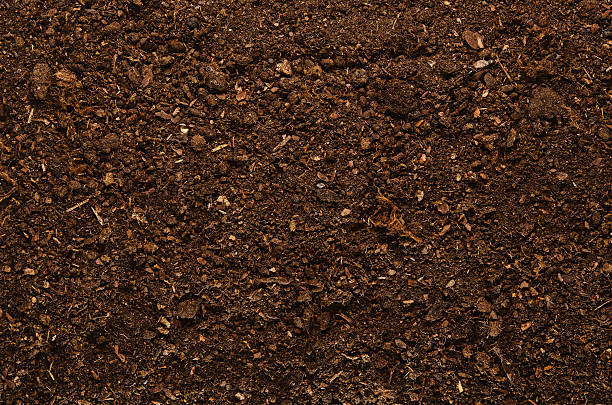 Soil texture background seen from above, top view. Soil texture background seen from above, top view. garden accessories stock pictures, royalty-free photos & images