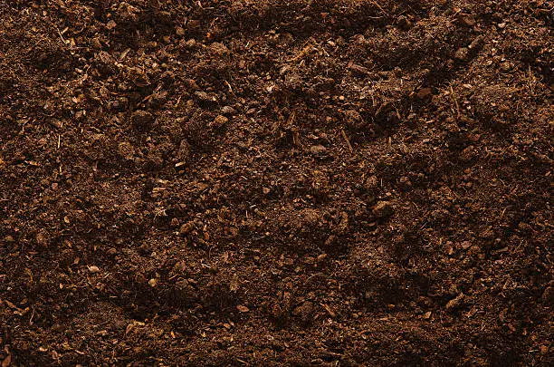 Photo of Soil texture background seen from above, top view.
