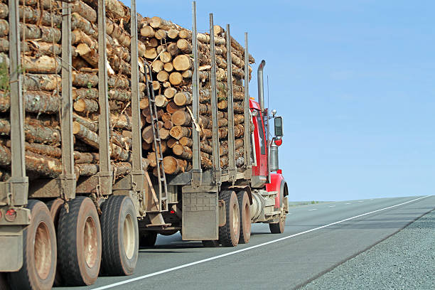 istock Semi Truck Hauling Logs On An Interstate Highway, Closeup View 547529408