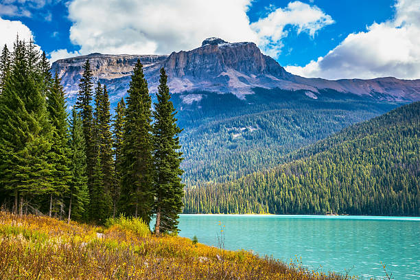 istock The green lake 547530844