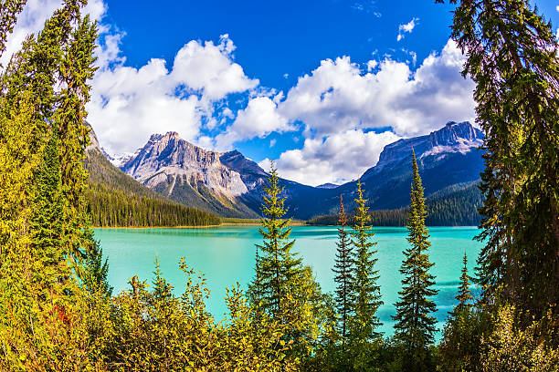 istock Emerald Lake in Yoho National Park 547531238