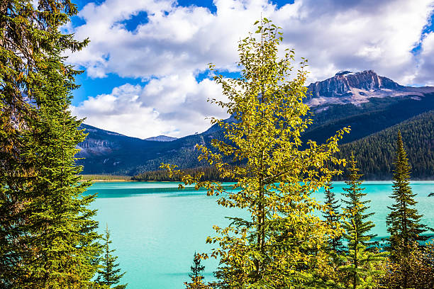 istock The lake surrounded by a coniferous forest 547531456