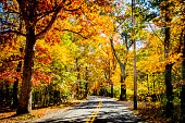 뉴잉글랜드의 가을 단풍과 도로 뉴저지에 대한 스톡 사진 및 기타 이미지 - 뉴저지, 도로, 가을 - Istock