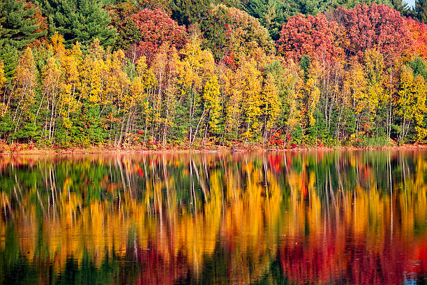 istock Fall Foliage and lake in New England 547532002