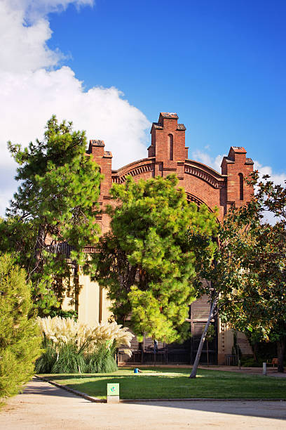 istock Umbracle in the Ciutadella Park in Barcelona 547533808
