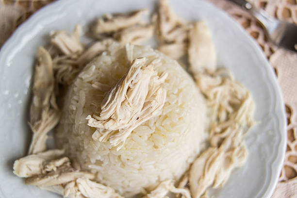 istock Traditional Turkish chicken on a rice (tavuklu pilav). 547535094
