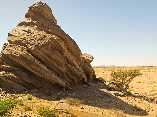 istock Masirah island landscape, sultanate of oman 547535922