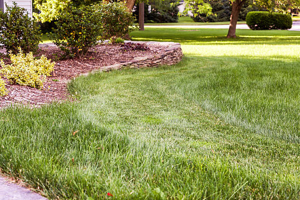 istock Lawn Mowing Grass Cutting Around Front Yard Garden Wall 547537078