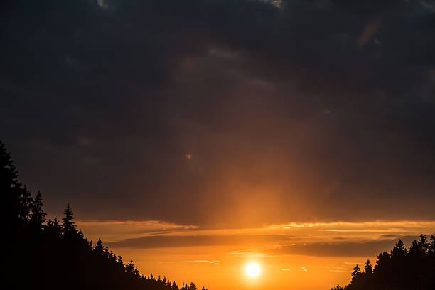 Free Stock Photo of Sunset Over the Forest - Metallic Landscape ...