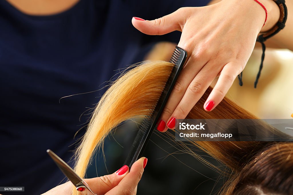 Female hairdresser hold in hand lock of blonde hair Female hairdresser hold in hand between fingers lock of blonde hair, comb and scissors closeup. Keratin restoration, latest trend, fresh idea, haircut picking, shorten tips, instrument store concept Hair Salon Stock Photo